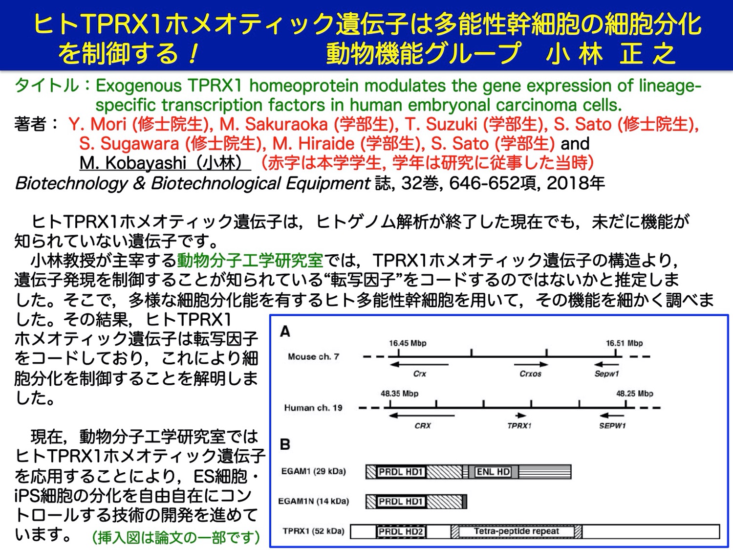 プロフィール画像