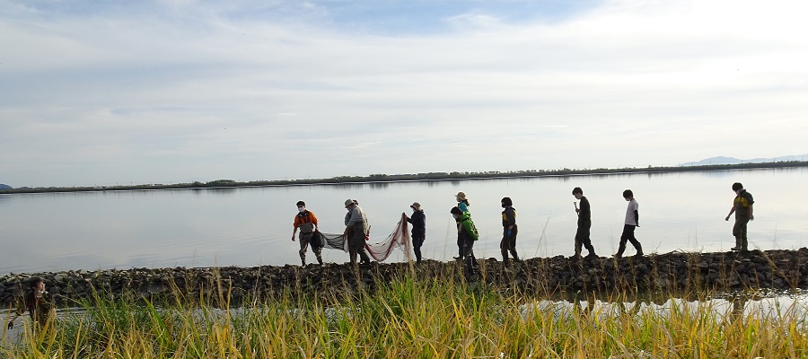 �H�c������w�@���ԍH�w������