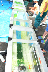 170807mizu.jpg 170807mizu.jpg