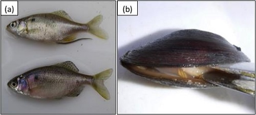 20171115_01.jpg 20171115_01.jpg
