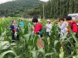 20180905_01.jpg 20180905_01.jpg